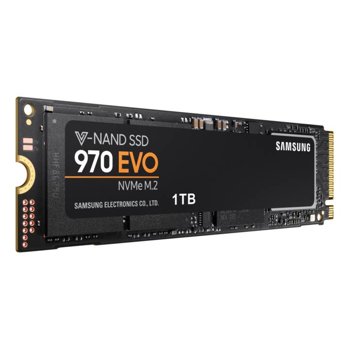 SAMSUNG 970 EVO, 1 TB