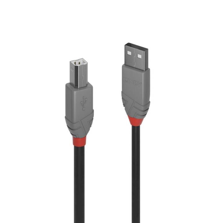 LINDY USB-Kabel (10 m) - Interdiscount