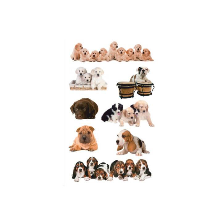 Z-DESIGN Sticker (Hund)