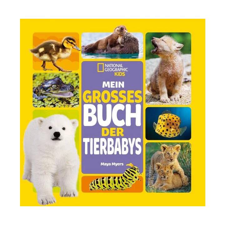 Mein grosses Buch der Tierbabys