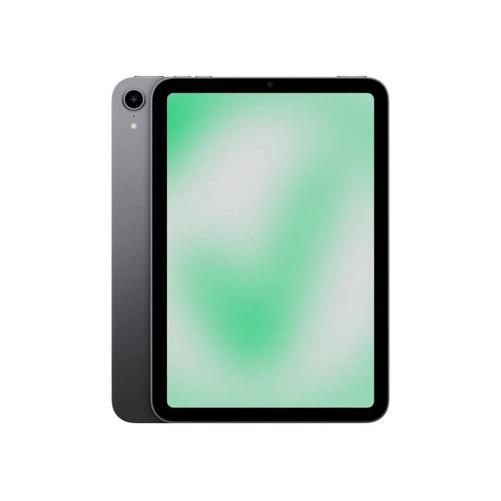 REVENDO iPad mini 6.Gen (2021) (8.3", 64 GB, Gris sidéral)