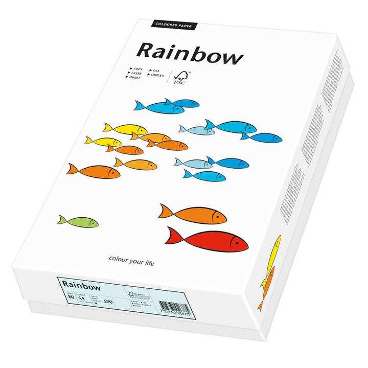 PAPYRUS Rainbow Carta colorata (500 foglio, A4, 80 g/m2)