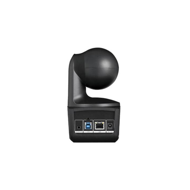 AVER DL10 Webcam (2 MP, Nero)