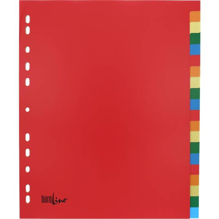 BÜROLINE Répertoire (20 x A4+, Coloré)