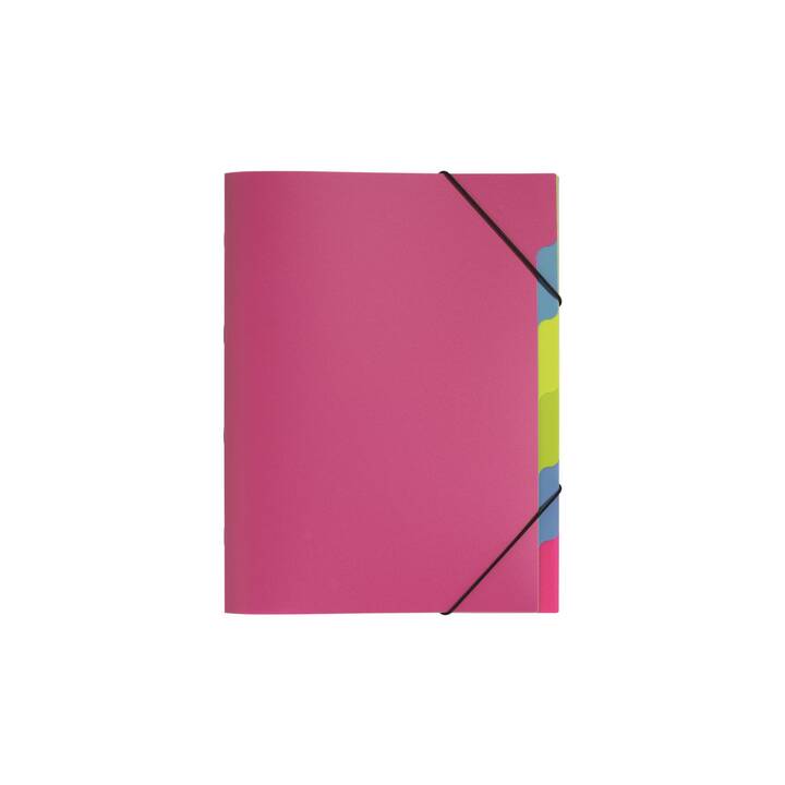 PAGNA Archivio a soffietto Funky School (Pink, Rosa, A4, 1 pezzo)