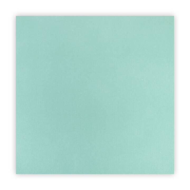 SILHOUETTE Papier spécial Cardstock (Vert menthe, 25 pièce)