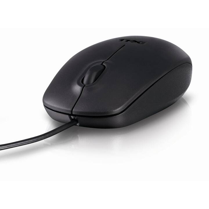 DELL MS116 Souris (Câble, Office)