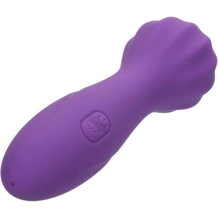 CALEXOTICS Vibratore anale e vaginale Stella O Wand 