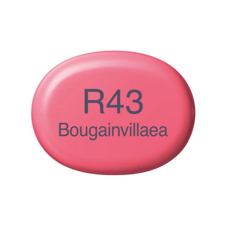 COPIC Marqueur de graphique Sketch R43 Bougainvillaea  (Rouge, 1 pièce)