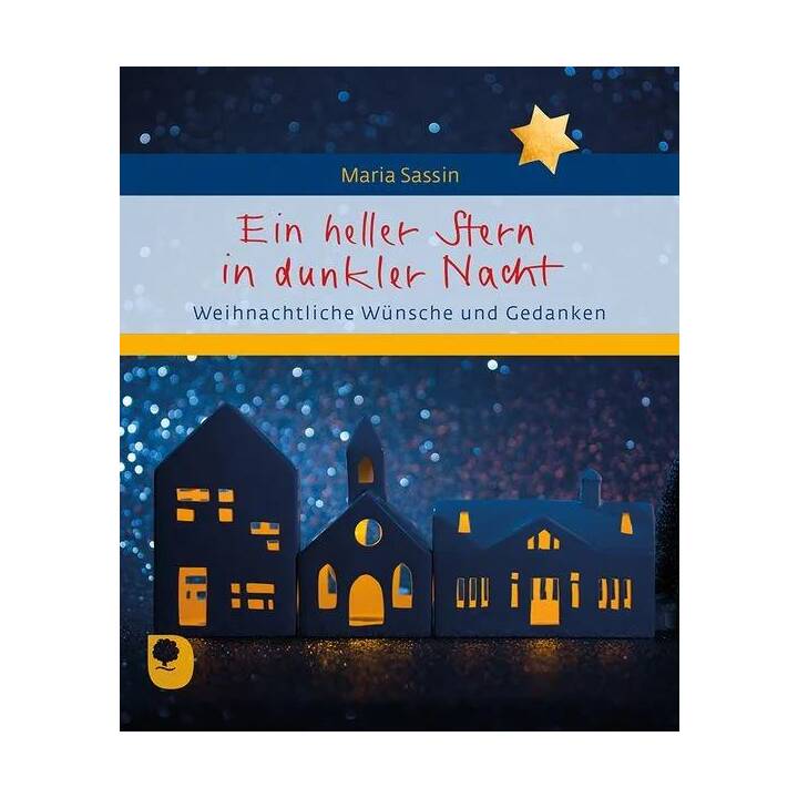 Ein heller Stern in dunkler Nacht