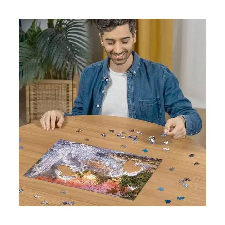 RAVENSBURGER Fantasy Puzzle (500 x)