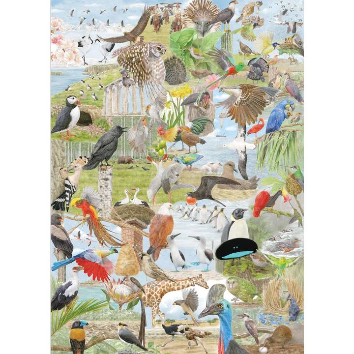 LAURENCE KING VERLAG Animaux Puzzle (1000 Parts)