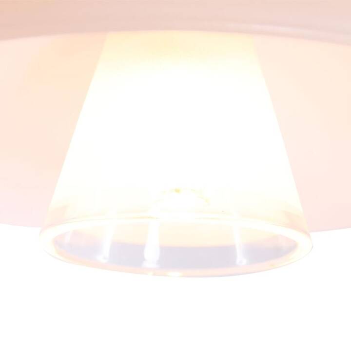 STEINHAUER Lampes à suspension Tallerken