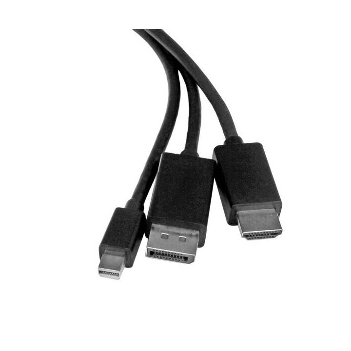 STARTECH.COM Video-Konverter (HDMI, Mini DisplayPort, DisplayPort)