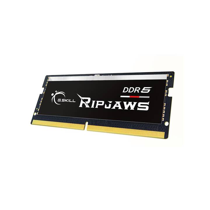 G.SKILL Ripjaws F5-5600S4645A16GX1-RS (1 x 16 GB, DDR5 5600 MHz, SO-DIMM 262-Pin)