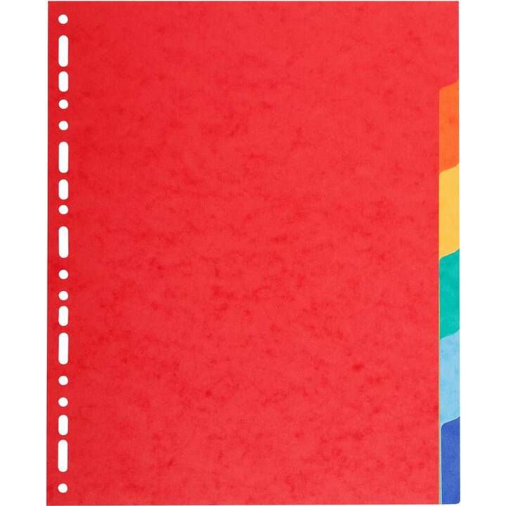 BIELLA Top Color Register (6 x A4+, Farblich)