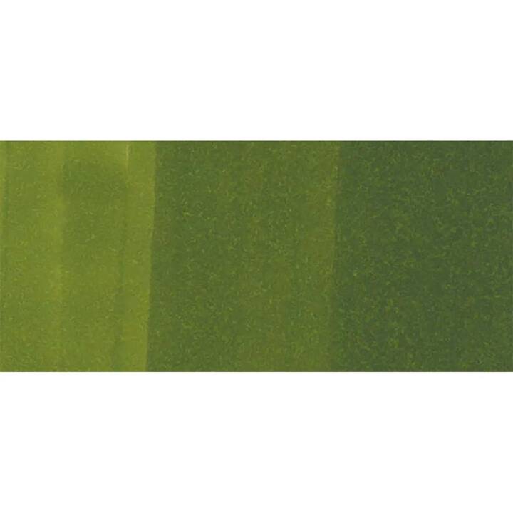 COPIC Marqueur de graphique Classic G29 Pine Tree Green (Vert, 1 pièce)
