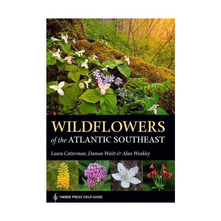 Wildflowers of the Atlantic Southeast