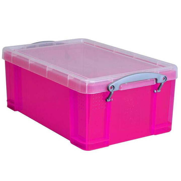 REALLY USEFUL Aufbewahrungsbox (9 l)