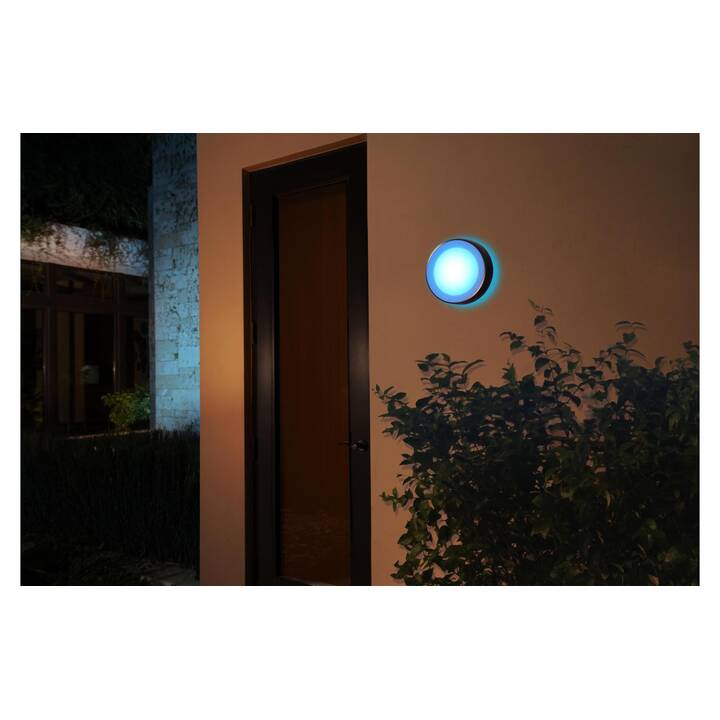 PHILIPS HUE Applique Daylo (15 W, Noir)