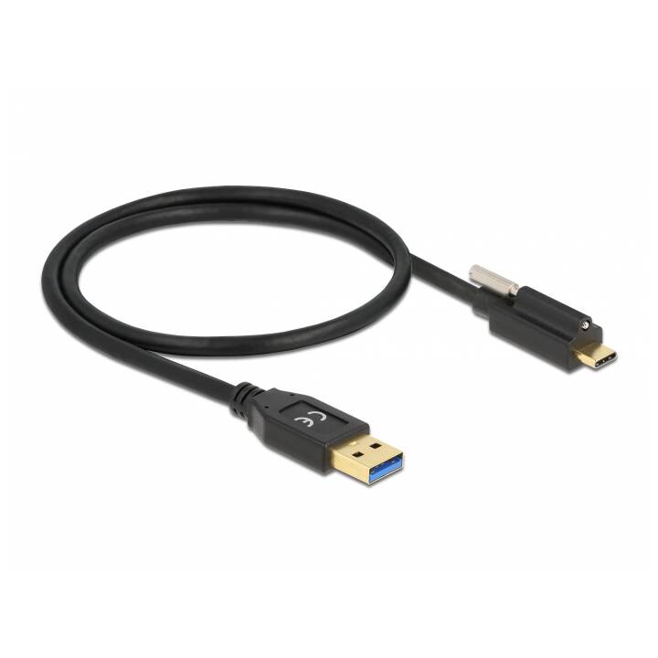 DELOCK Câble USB (USB de type A, USB-C, 0.5 m)
