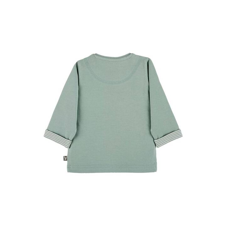 STERNTALER Baby T-Shirt Emmi (80, Grün)