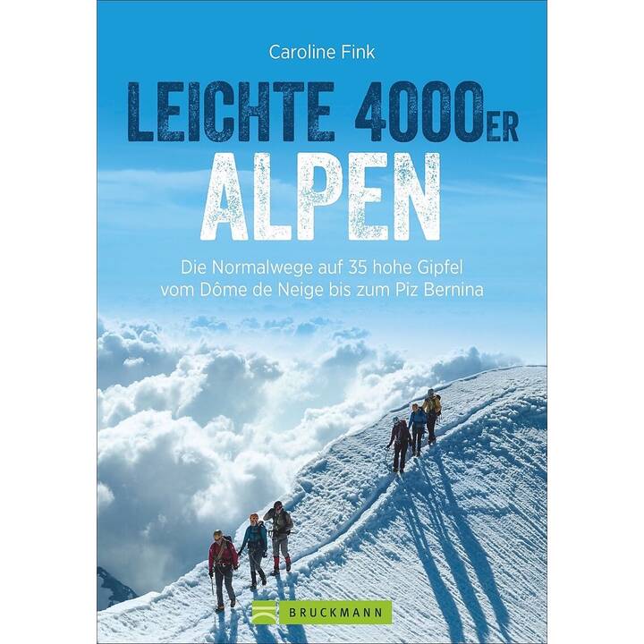 Leichte 4000er Alpen
