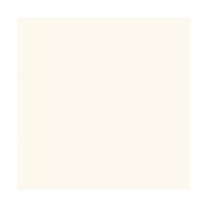 SAVAGE Sfondo foto (Bianco, 272 x 1100 cm)