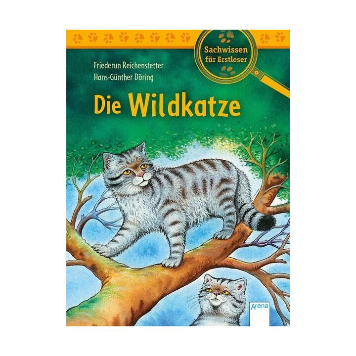 Die Wildkatze