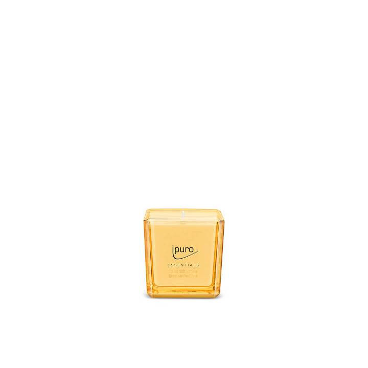 IPURO Bougie parfumée Essentials