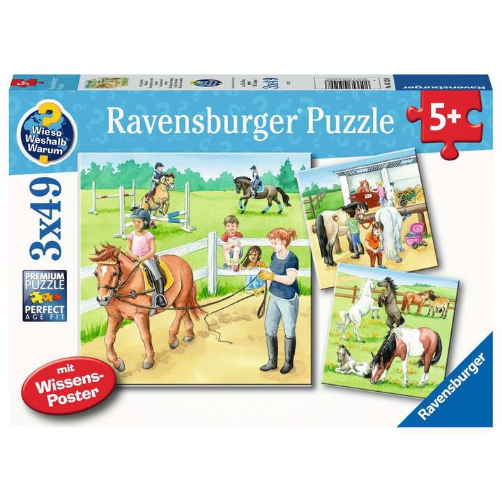RAVENSBURGER Tiere Puzzle (3 x 147 x, 49 x)