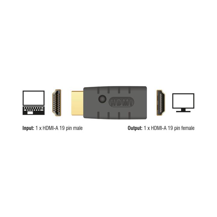 DELOCK Adattatore video (HDMI A)