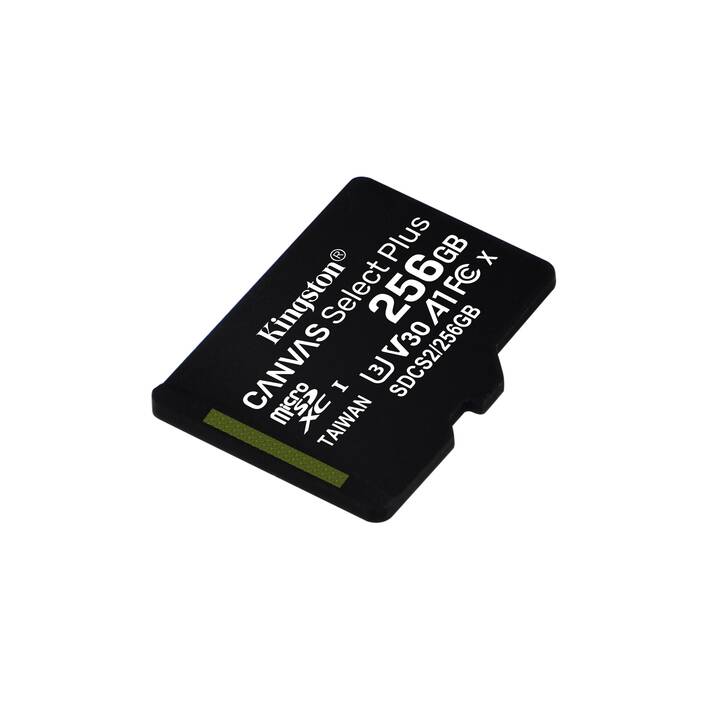 KINGSTON TECHNOLOGY MicroSDXC Canvas Select Plus (Class 10, 256 Go, 100 Mo/s)