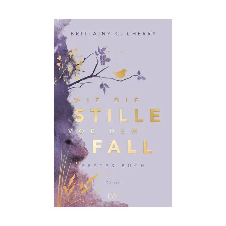 Wie die Stille vor dem Fall. Erstes Buch: Special Edition