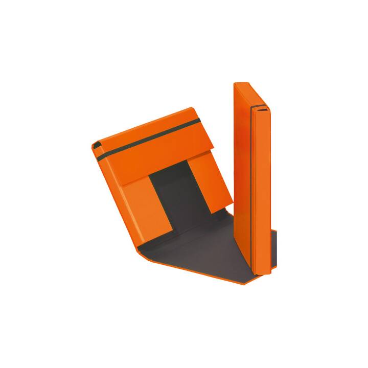 PAGNA Boîte de livret Trend (Orange, A4, 1 pièce)