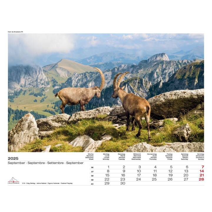 CALENDARIA Bildkalender Swiss Panorama (2025)