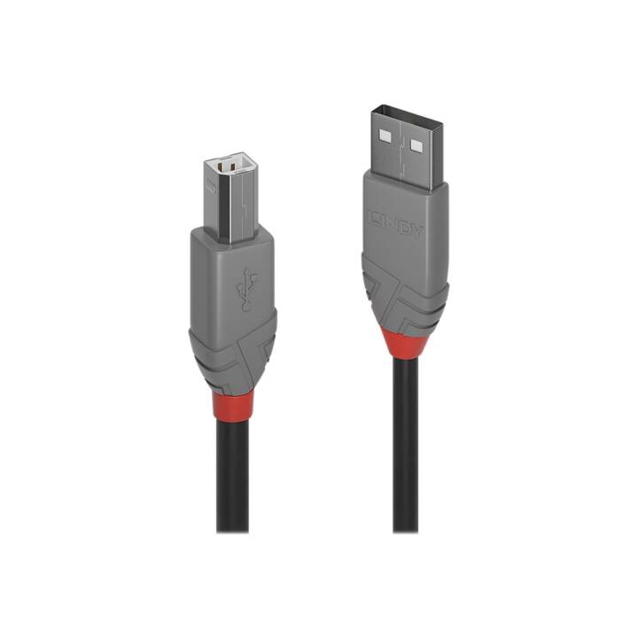 LINDY Cavo USB (USB 2.0 Tipo-B, USB 2.0 Tipo-A, 3 m)