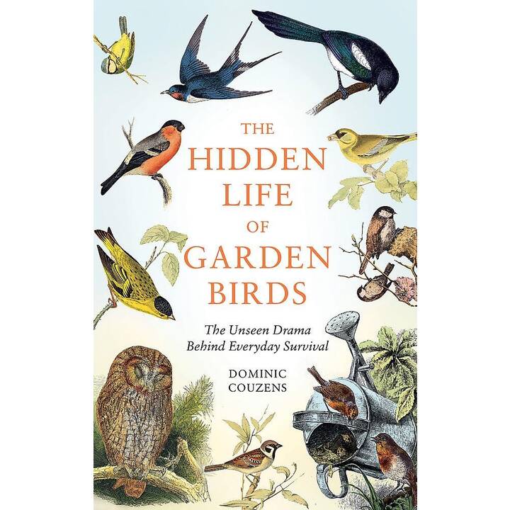The Hidden Life of Garden Birds