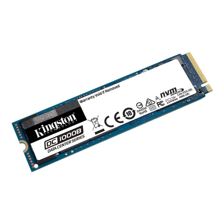 KINGSTON TECHNOLOGY DC1000B (PCI Express, 240 GB, Multicolore)