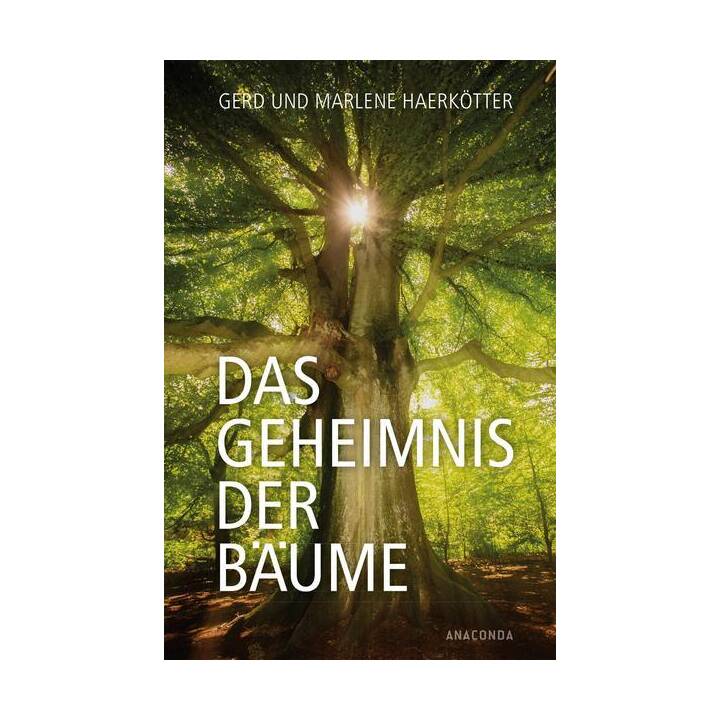 Das Geheimnis der Bäume