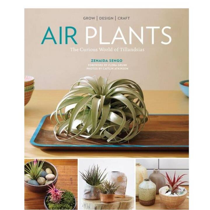 Air Plants