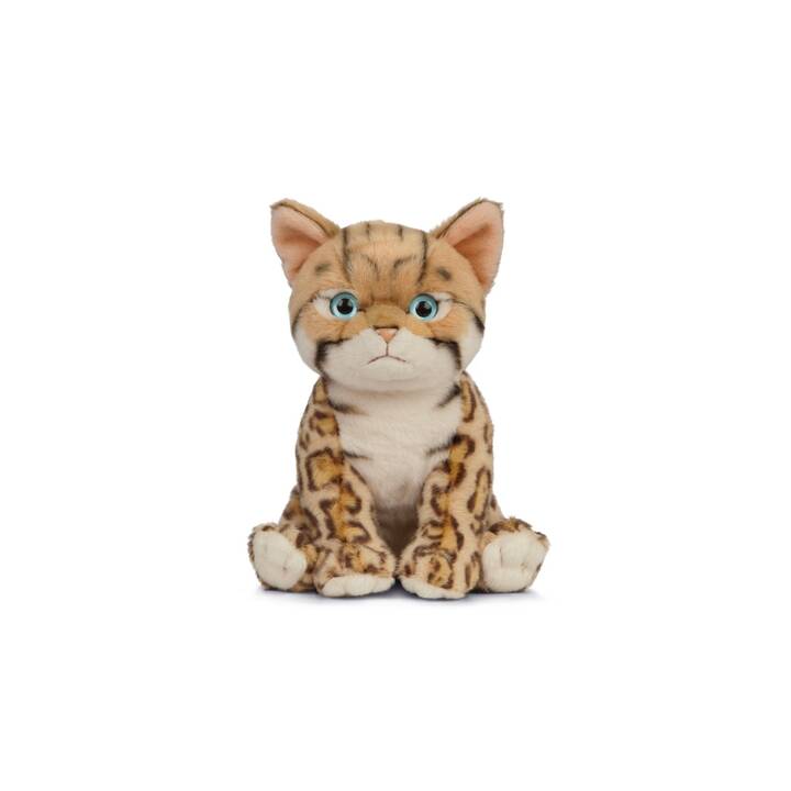 LIVING NATURE Gatto (16 cm, Beige, Marrone, Bianco)