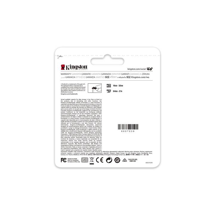 KINGSTON TECHNOLOGY MicroSD Canvas Go! (Class 10, 256 Go, 170 Mo/s)