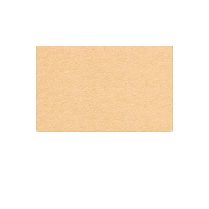 URSUS Carton (Abrioct, A4, 100 pièce)