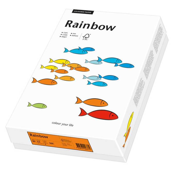 PAPYRUS Rainbow Papier couleur (500 feuille, A4, 80 g/m2)