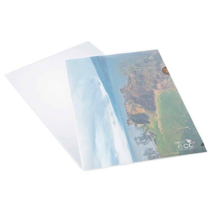 RAPESCO Dossiers chemises Eco (Transparent, A4, 25 pièce)