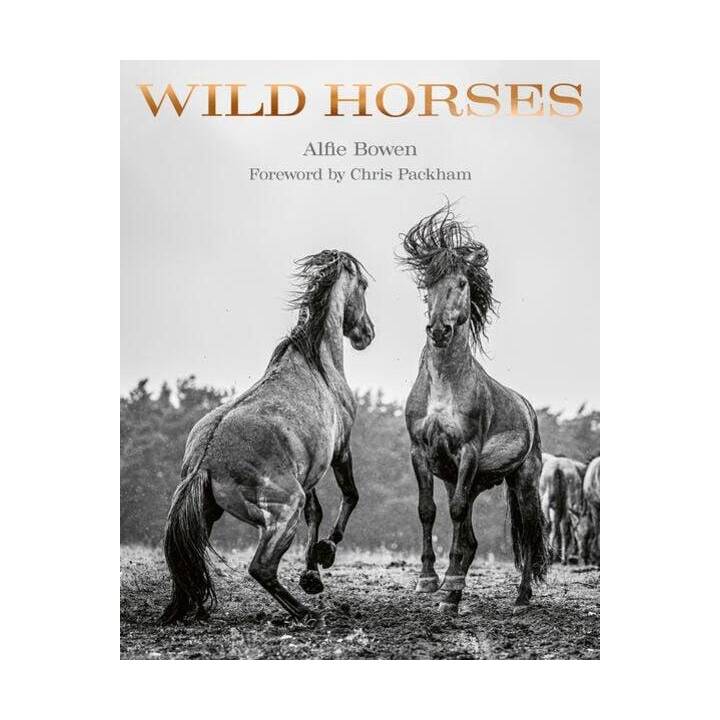 Wild Horses