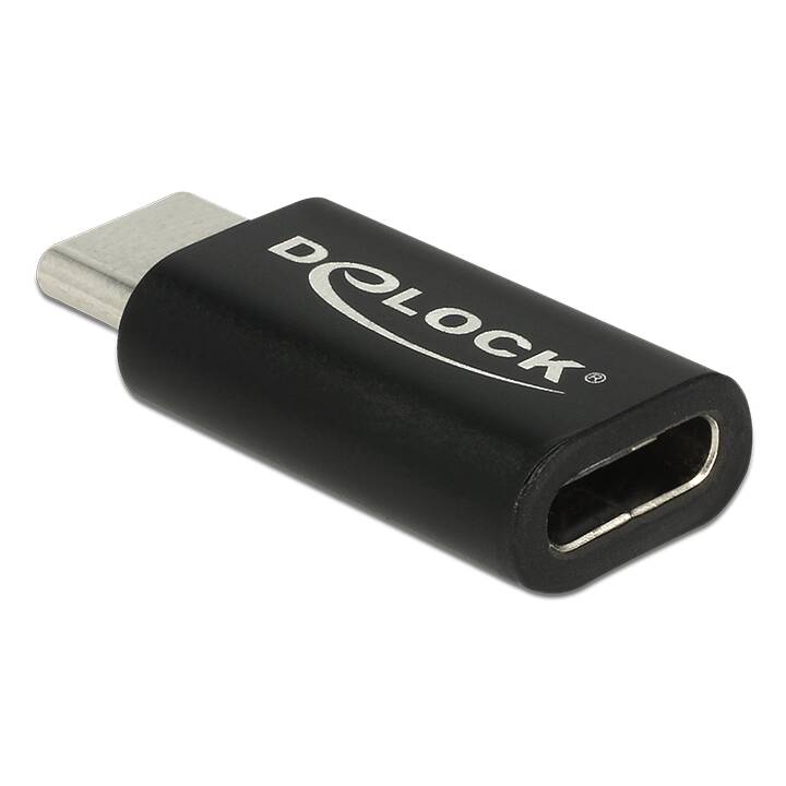 DELOCK Adaptateur (USB-C, USB-C fiche)