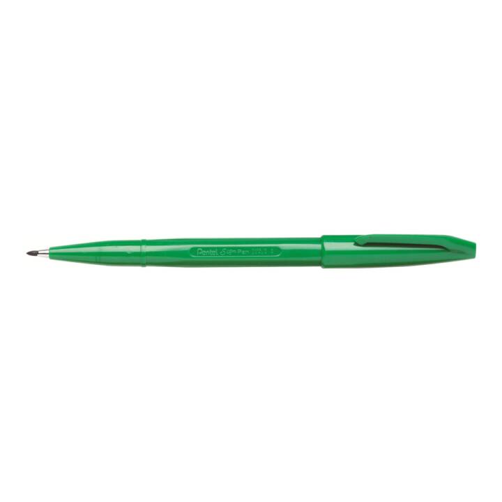 PENTEL Crayon feutre (Vert, 1 pièce)