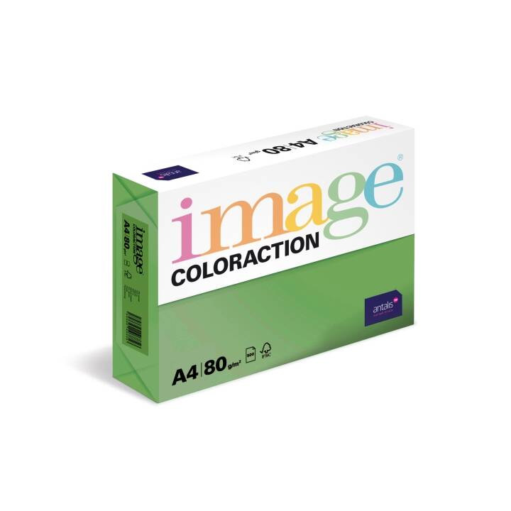 IMAGE Coloraction Carta colorata (500 foglio, A4, 80 g/m2)